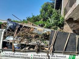 Best Same-Day Junk Removal Services  in Marion, IN